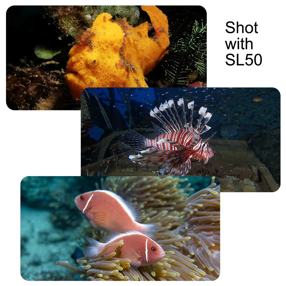 SL50 professional underwater video light, 5600 Lumens and wide angle 120 degree beam - Image 7