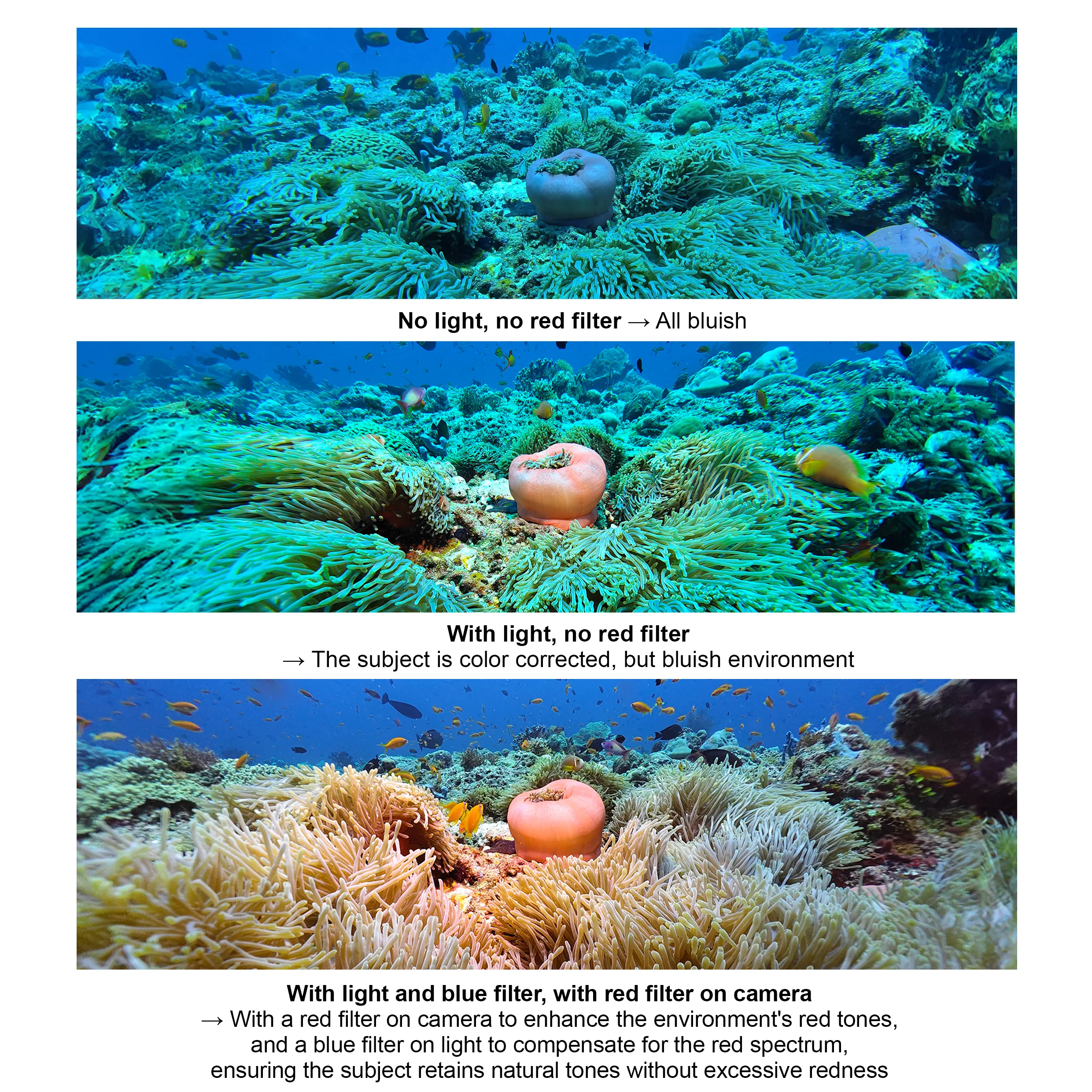 Ambient blue light filter for SL50/SL120  professional underwater video light - Image 3