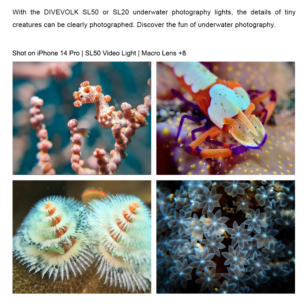 Underwater +8 Close-up Lens, Optical Wet Lens for Seatouch 4 max  housing and camera - Image 7