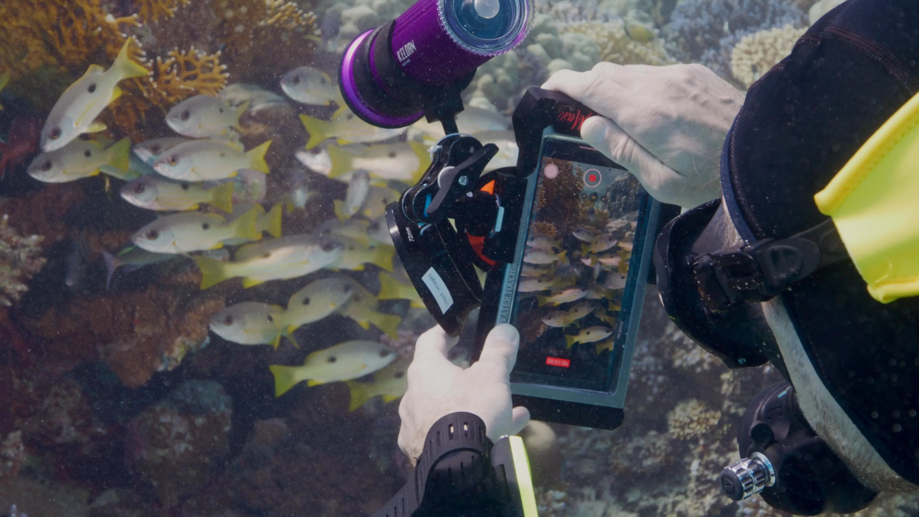 Underwater videography & photography course - The official Divevolk online course Mastering your Divevolk Seatouch 4 Max - Image 4